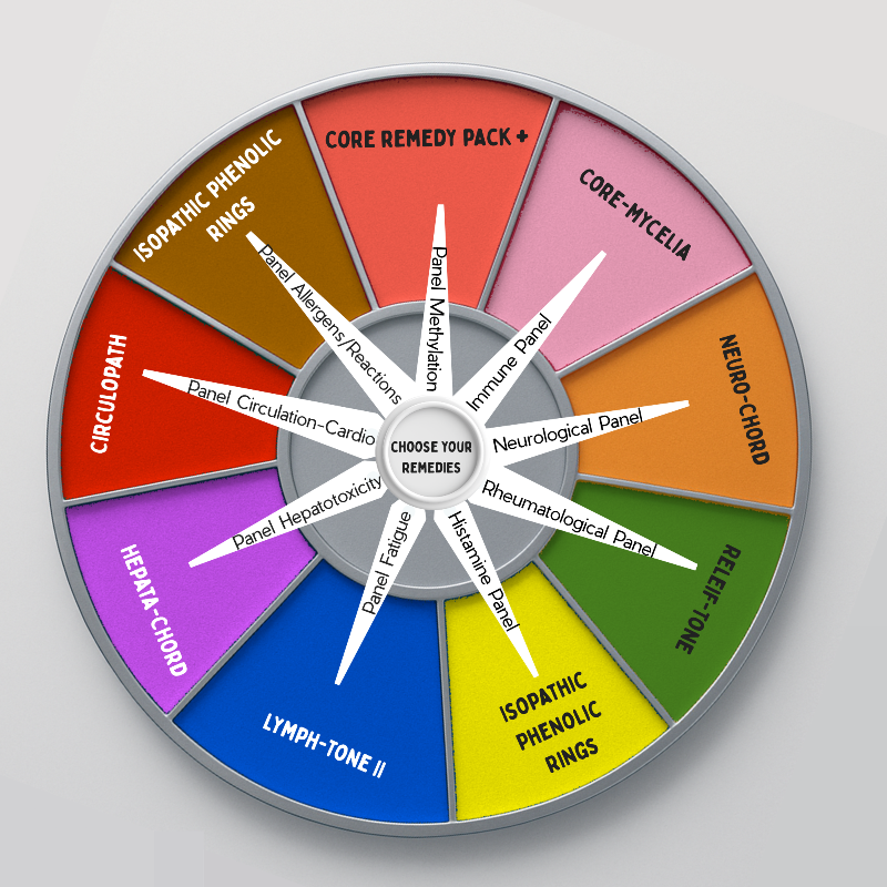 Wheel diagram with various colored sections labeled with health-related terms on a gray background