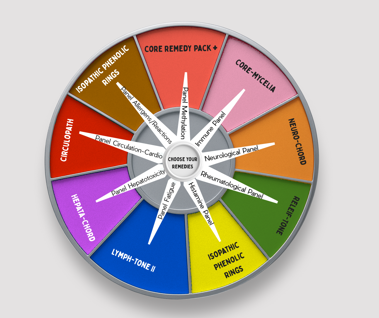 Wheel diagram with various colored sections labeled with health-related terms on a gray background