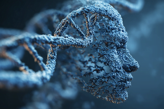 Cognition Kit - DOCS Genetics