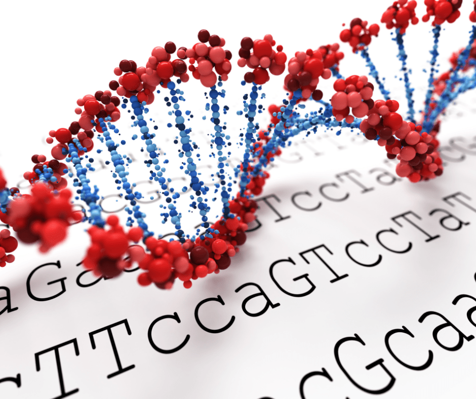 Vax+Gene Decode Kit Plus Gene Autism Awareness Bundle - DOCS Genetics