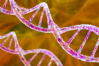 Add On: Autism First Steps Kit - DOCS Genetics