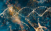 Dentistry & Methylation Kit - DOCS Genetics