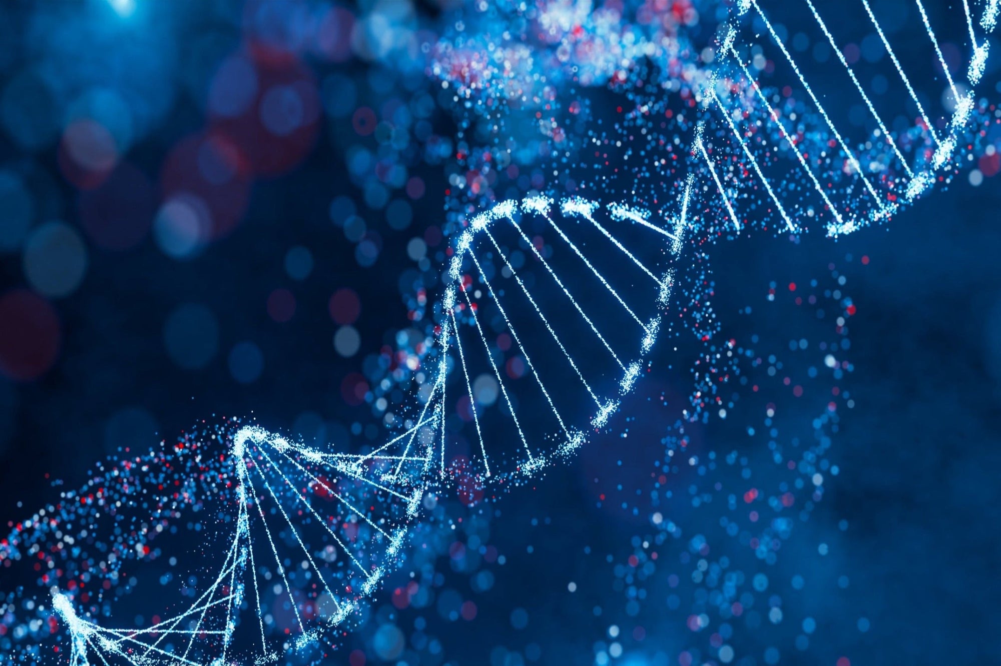 MethylGene Guard Kit - DOCS Genetics