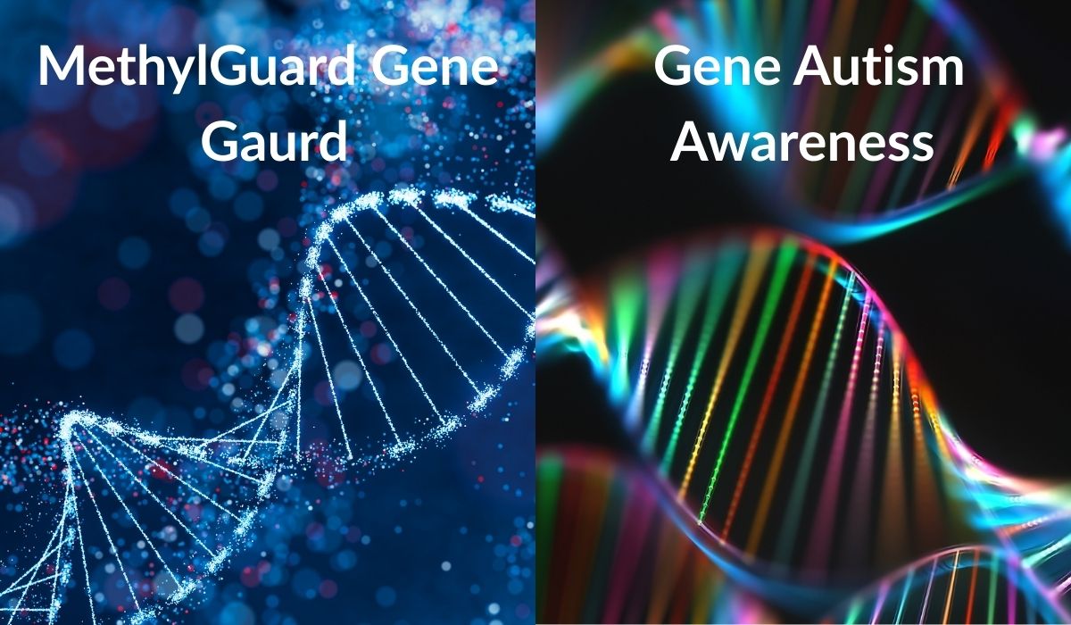 Promotional image featuring two DNA strands with a semi-transparent layer with text 'MethylGene Guard' and 'Gene Autism Awareness'. The background is a deep, dark blue, suggesting a scientific or genetic testing theme.