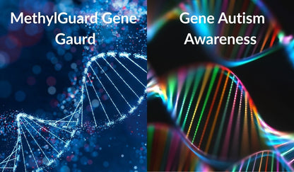 Promotional image featuring two DNA strands with a semi-transparent layer with text 'MethylGene Guard' and 'Gene Autism Awareness'. The background is a deep, dark blue, suggesting a scientific or genetic testing theme.