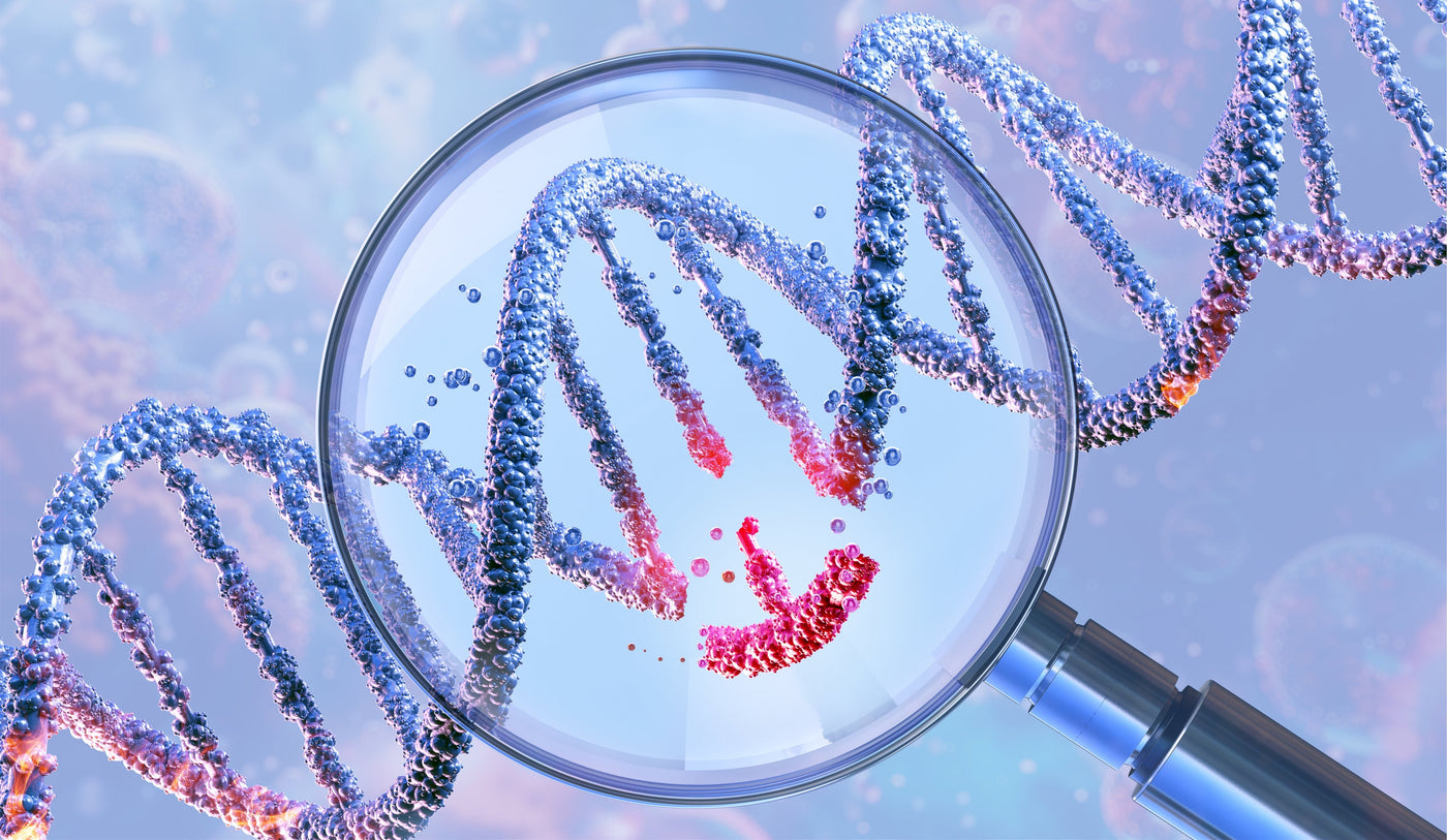 Vax Gene Decode Kit
